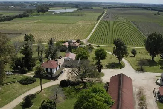 Bodega Juanicó