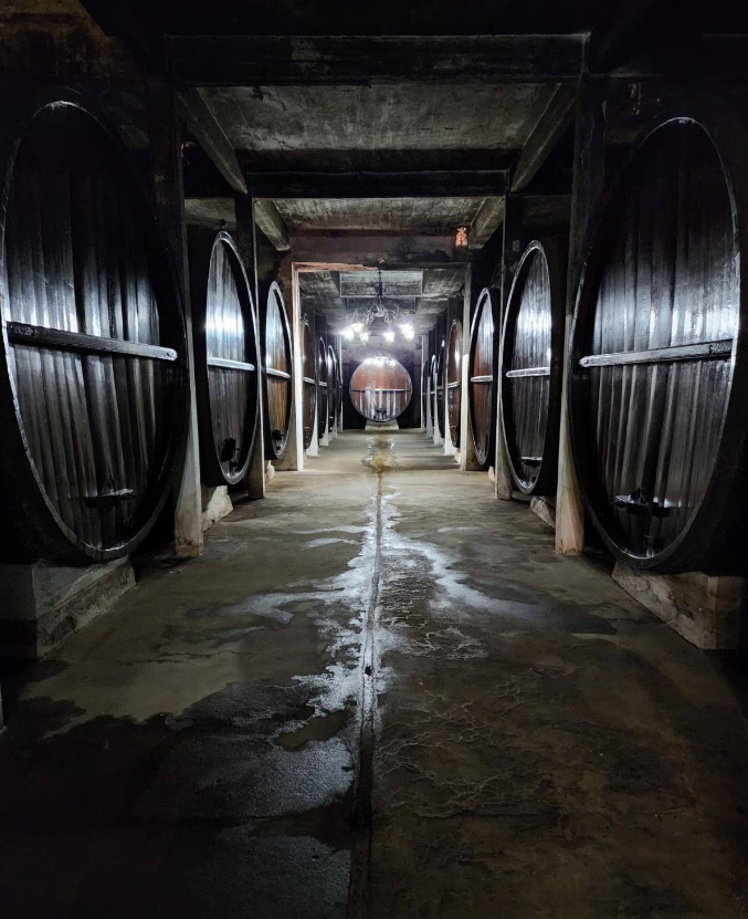 Bodega Santa Rosa