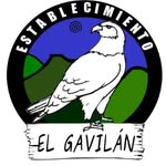 Logo de El Gavilán